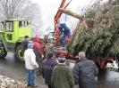 29. November 2008 - Weihnachtsbaum aufstellen_11