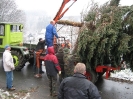 29. November 2008 - Weihnachtsbaum aufstellen